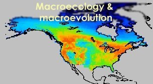 macroecology and macroevolution