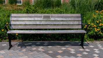 bench with a blue ribbon