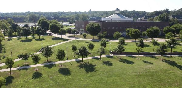 Overhead view of trees on CSI campus