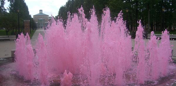 CSI Pink Colored Fountain