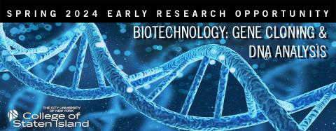 Biotechnology Gene Cloning and DNA Analysis Research Opportunity