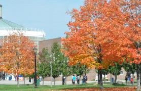 Trees on campus with multicolored leaves in the fall