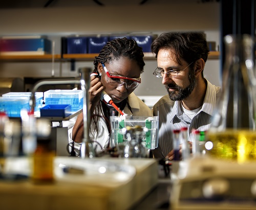 Students In A Laboratory