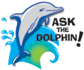 Ask the Dolphin!