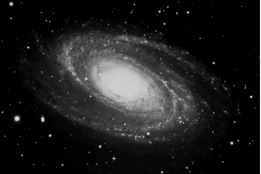 Galaxy NGC3031