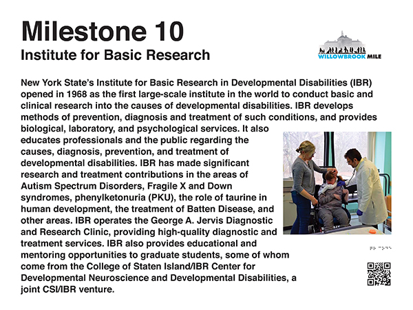Milestone 10 - Institute for Basic Research