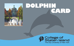 DolphinCard ID