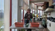 A woman in a green house with a lot of planters