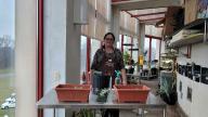 A woman  in a green house with a lot of planters