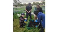 A group of people planting a plant in a ground garden box.​