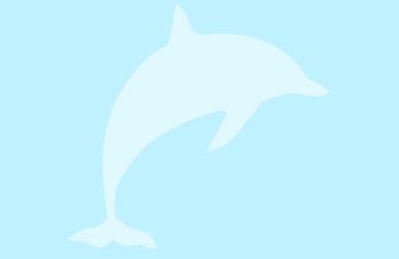 Dolphin Logo