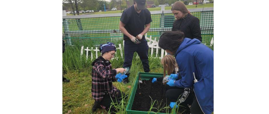 A group of people planting a plant in a ground garden box.​