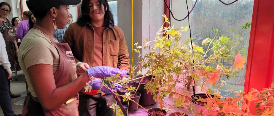 A person standing next to a person in a plant nursery