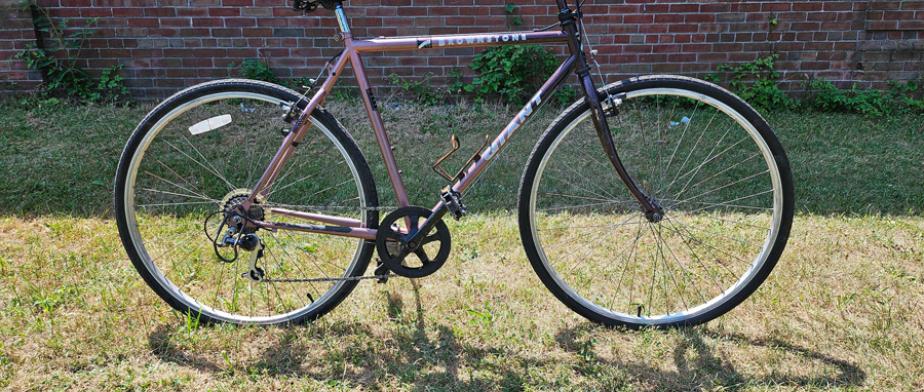 A Giant brand pink and purple mountain bike with a cup holder 