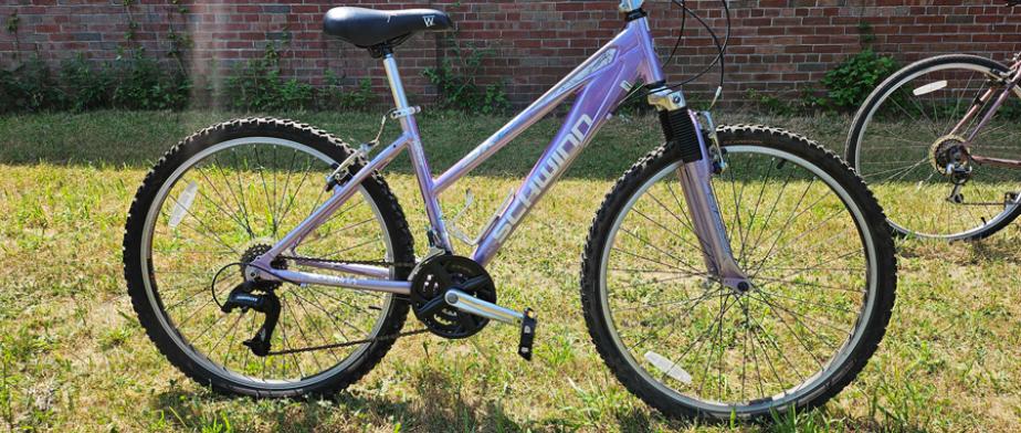 A pink Schwinn brand mountain bike with 21 gears