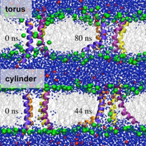 Anti-Microbial Agents As Viewed Under a Microscope by Biochemistry Students