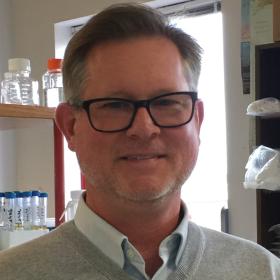 Professor Greg Phillips Professor Greg Phillips