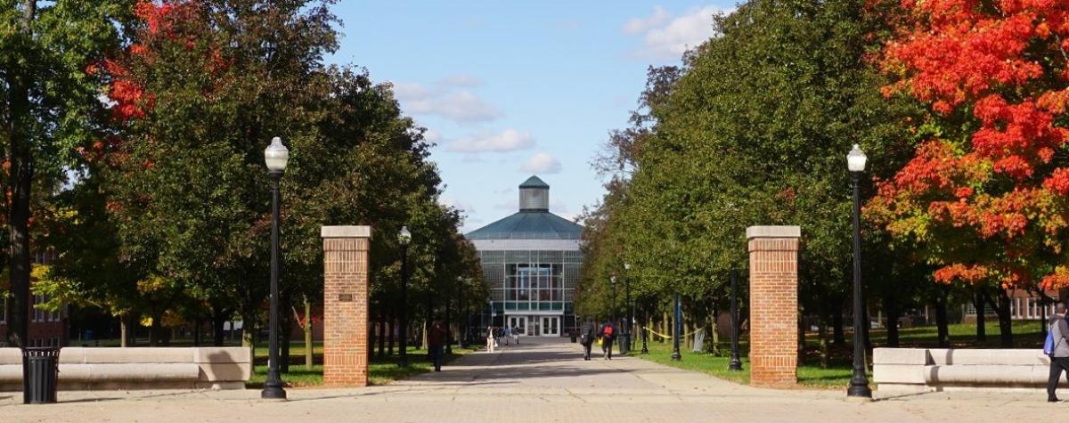 CSI Campus looking beautiful