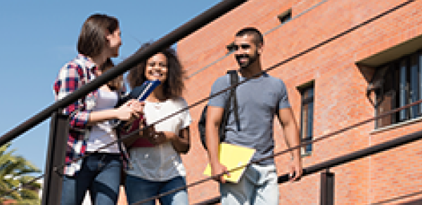 Interdisciplinary Programs