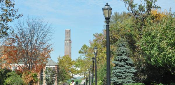 Foliage and Trees on Alumni Walk at CSI During the Fall