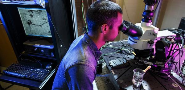 male student looking into microscope within division of Science & Technology 
