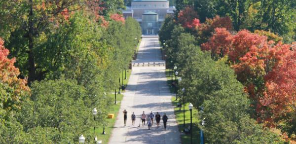 Aerial Shot Of Students On Alumni Walk Facing the Library