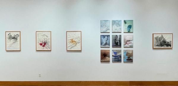 View of installed artwork on the wall, images resembling abstractions of landscape views