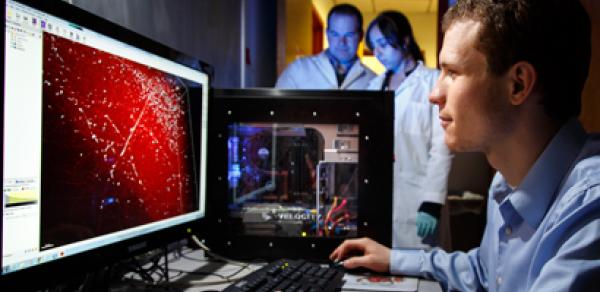 student looking at PC monitor in a lab