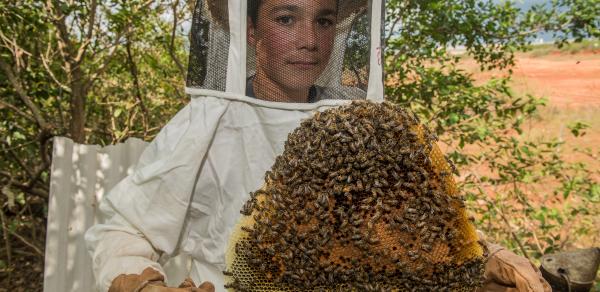 Volunteer working with beekeeping project in Paraguay