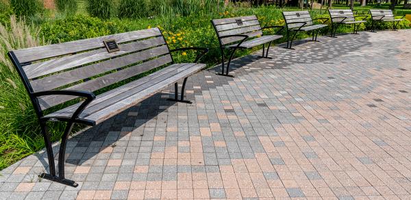 Adopted Benches at CSI