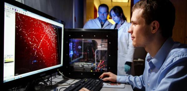 Student Working On A Computer In A Lab