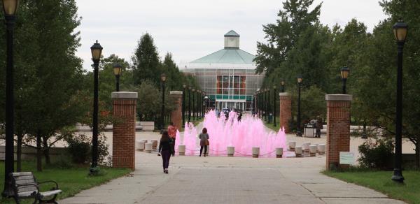 Walkway to Library