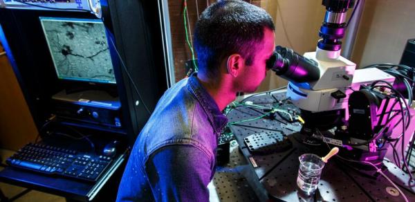 Male student looking into microscope