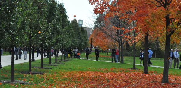 Campus Walkway During Autum