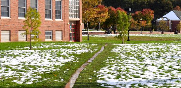 Snow Covered Grassy Path On Campus