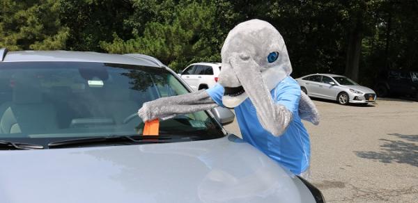 danny the dolphin ticketed car