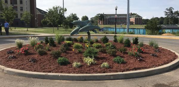 dolphin fountain by Dolphin Cove