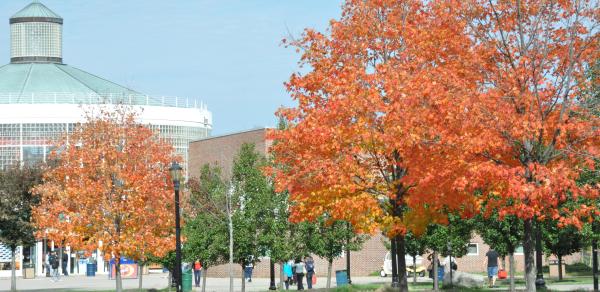 Campus Center in Fall