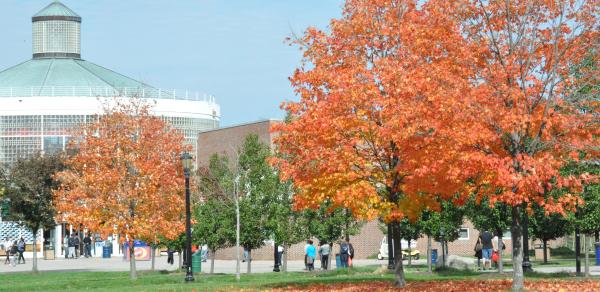 Fall at CSI