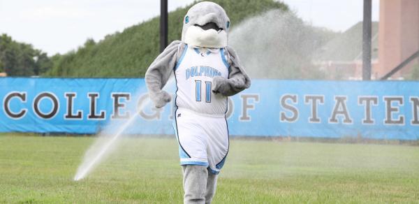 Danny the Dolphin on baseball field