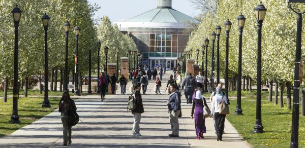 walkway to library