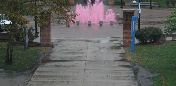 CSI Pink Colored Fountain 