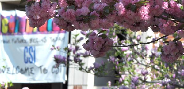 CSI campus with flowers in the spring