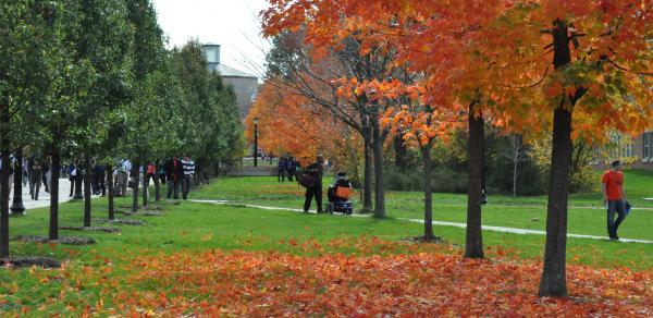 campus in the fall