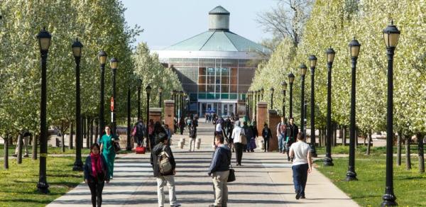 Walkway to Library