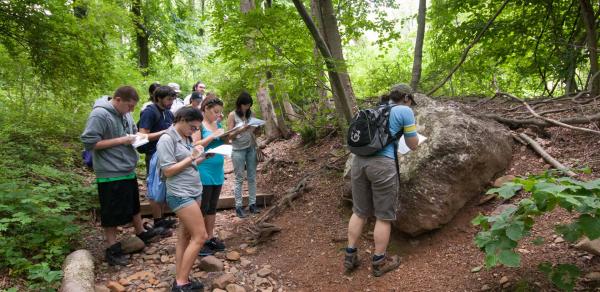 Group of students in the forest 