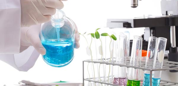 Graduate Studies Biology Csi Cuny Website