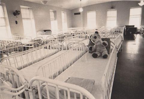 Aerts Teddy Bear Cots Dormitory, empty with tightly spaced beds, on one of which is a toy teddy bear
