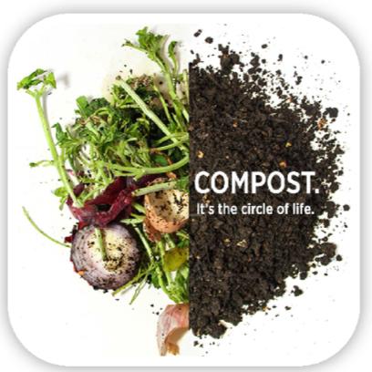 A round edge white plate showing compost on one side and vegetable on the other in a round shape. 
