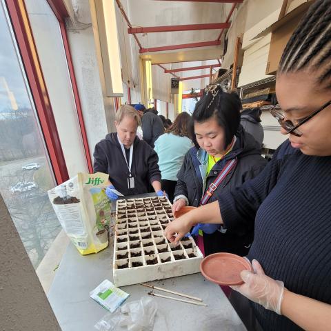 Greenhouse seed planting event. 3 of the student placing seeds in seed trays. ​